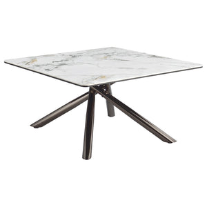 English Elm Newport Sintered Stone Square Coffee Table with Marble Look Top and Steel Base B062S01940