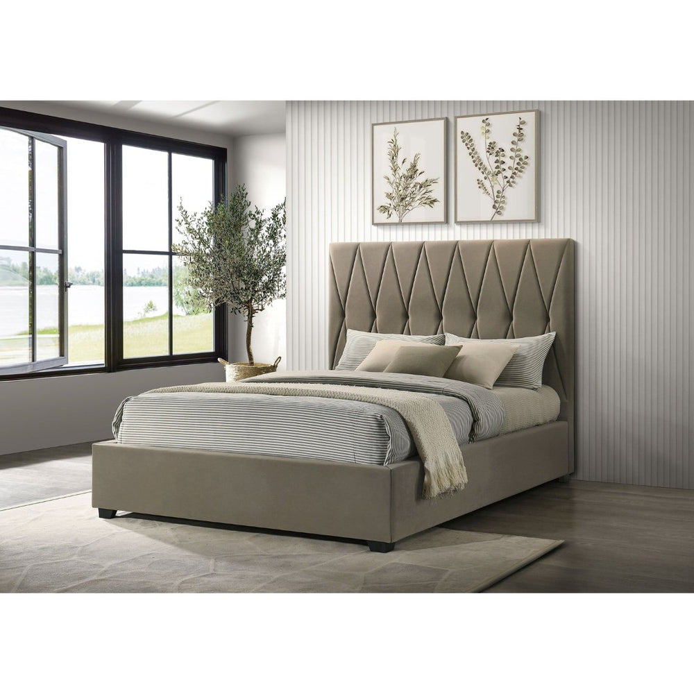 English Elm Germain Velvet Tufted Queen Platform Bed with Low Profile Frame for Modern Bedroom B062S01979