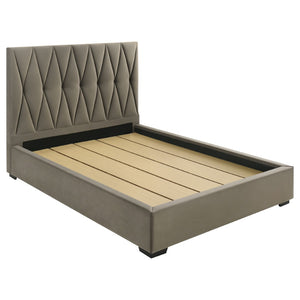 English Elm Germain Velvet Tufted Queen Platform Bed with Low Profile Frame for Modern Bedroom B062S01979