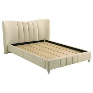 English Elm Michelson Ivory Velvet Queen Bed Channel Tufted Headboard with Polished Gold Legs B062S02078