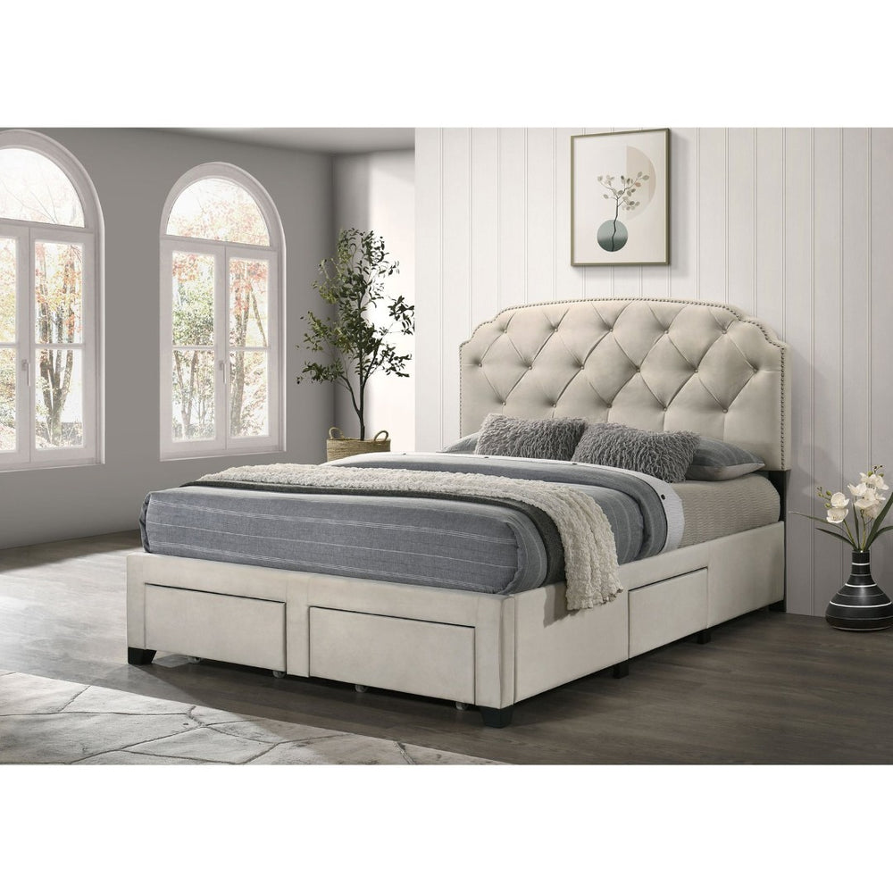 English Elm Cream Velvet Queen Storage Bed with Tufted Scalloped Headboard and Nailhead Trim B062S02371
