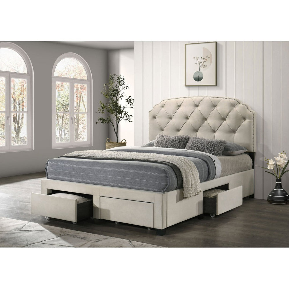 English Elm Cream Velvet Queen Storage Bed with Tufted Scalloped Headboard and Nailhead Trim B062S02371