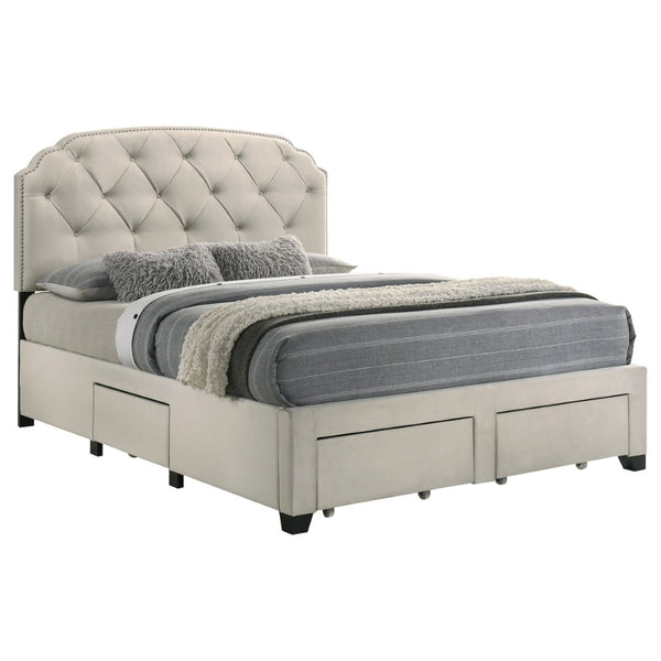 English Elm Cream Velvet Queen Storage Bed with Tufted Scalloped Headboard and Nailhead Trim B062S02371