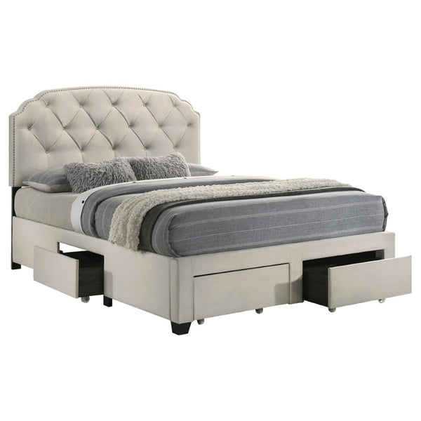 English Elm Cream Velvet Queen Storage Bed with Tufted Scalloped Headboard and Nailhead Trim B062S02371