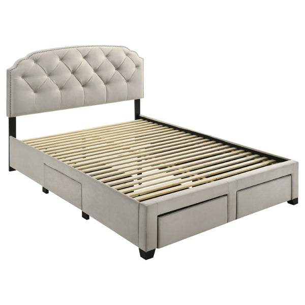 English Elm Cream Velvet Queen Storage Bed with Tufted Scalloped Headboard and Nailhead Trim B062S02371