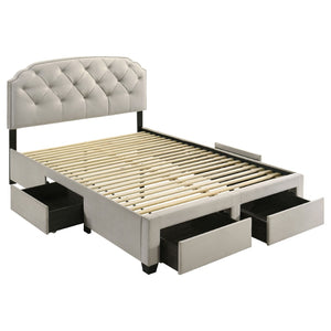 English Elm Cream Velvet Queen Storage Bed with Tufted Scalloped Headboard and Nailhead Trim B062S02371