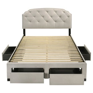 English Elm Cream Velvet Queen Storage Bed with Tufted Scalloped Headboard and Nailhead Trim B062S02371