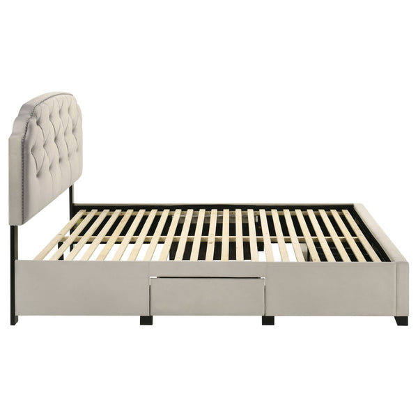 English Elm Cream Velvet Queen Storage Bed with Tufted Scalloped Headboard and Nailhead Trim B062S02371