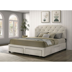 English Elm Cream Velvet Eastern King Storage Bed with Tufted Headboard and Nailhead Trim B062S02372