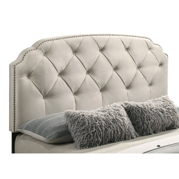 English Elm Cream Velvet Eastern King Storage Bed with Tufted Headboard and Nailhead Trim B062S02372