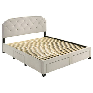 English Elm Cream Velvet Eastern King Storage Bed with Tufted Headboard and Nailhead Trim B062S02372