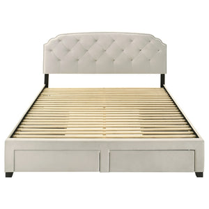 English Elm Cream Velvet Eastern King Storage Bed with Tufted Headboard and Nailhead Trim B062S02372