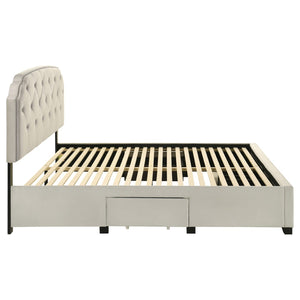 English Elm Cream Velvet Eastern King Storage Bed with Tufted Headboard and Nailhead Trim B062S02372