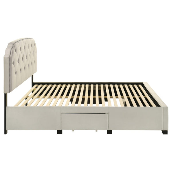 English Elm Cream Velvet Eastern King Storage Bed with Tufted Headboard and Nailhead Trim B062S02372