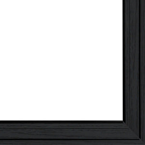 English Elm Chase and Molly Framed Wall Art by John Rossini Matte Black Wood Ready to Hang B06788646