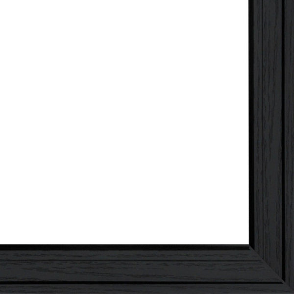 English Elm Chase and Molly Framed Wall Art by John Rossini Matte Black Wood Ready to Hang B06788646