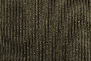 English Elm 2 Piece Corduroy Living Room Sofa Set with Ribbed Texture and Padded Track Arms B089S00180