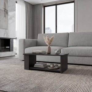 English Elm Modern Asymmetrical Low Profile Coffee Table with Open Storage Alcoves in Walnut B097P543464
