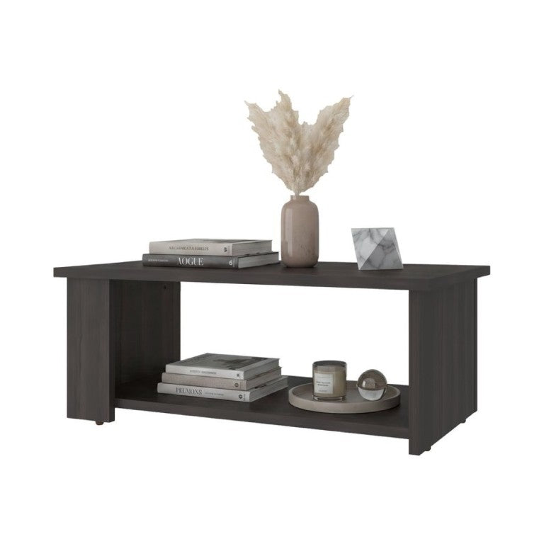 English Elm Modern Asymmetrical Low Profile Coffee Table with Open Storage Alcoves in Walnut B097P543464