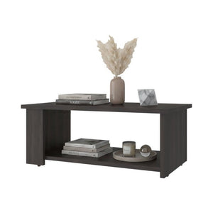 English Elm Modern Asymmetrical Low Profile Coffee Table with Open Storage Alcoves in Walnut B097P543464
