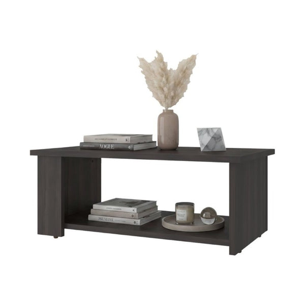 English Elm Modern Asymmetrical Low Profile Coffee Table with Open Storage Alcoves in Walnut B097P543464