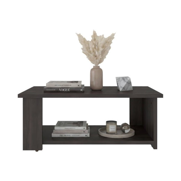 English Elm Modern Asymmetrical Low Profile Coffee Table with Open Storage Alcoves in Walnut B097P543464