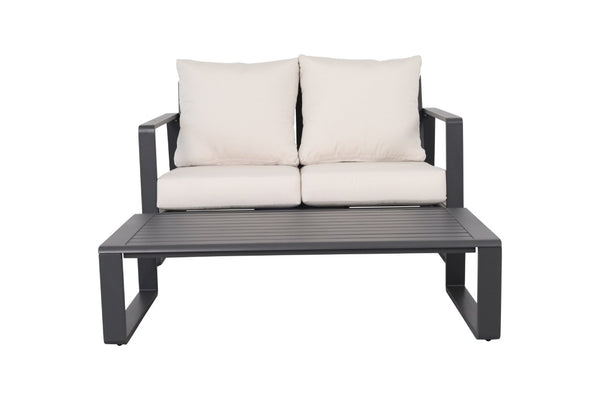 English Elm Double Loveseat and Coffee Table Set Wipe Clean Upholstery Modern Living Room Pair B120P293365