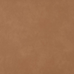 Meridian Furniture Arvada Twin Platform Bed Vegan Leather Upholstered Mid-century Modern Bedroom Frame B1236Cognac-T
