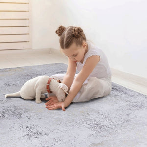 English Elm Maval Chenille Area Rug Machine Washable Low Pile Bohemian Design for Living Room Gray B189P188978