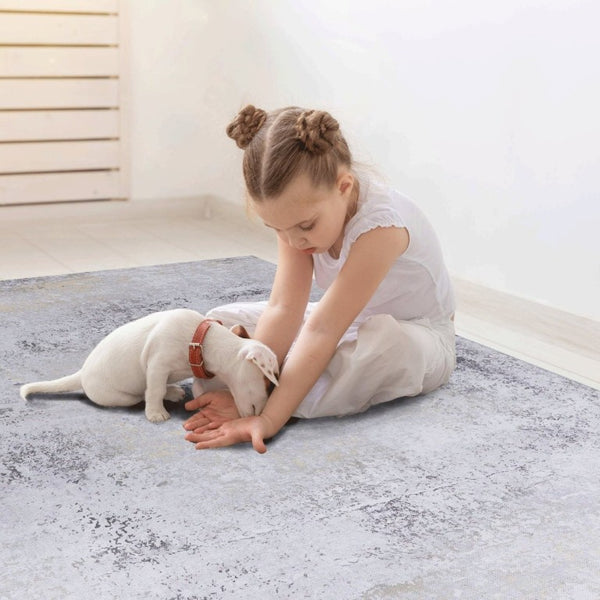 English Elm Maval Chenille Area Rug Machine Washable Low Pile Bohemian Design for Living Room Gray B189P188978