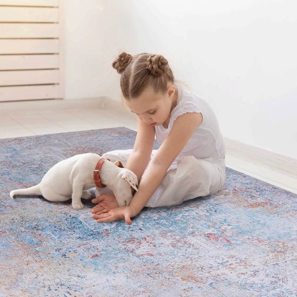 English Elm Maval Chenille Area Rug Machine Washable Bohemian Low Pile for Living Room Floors B189P189036