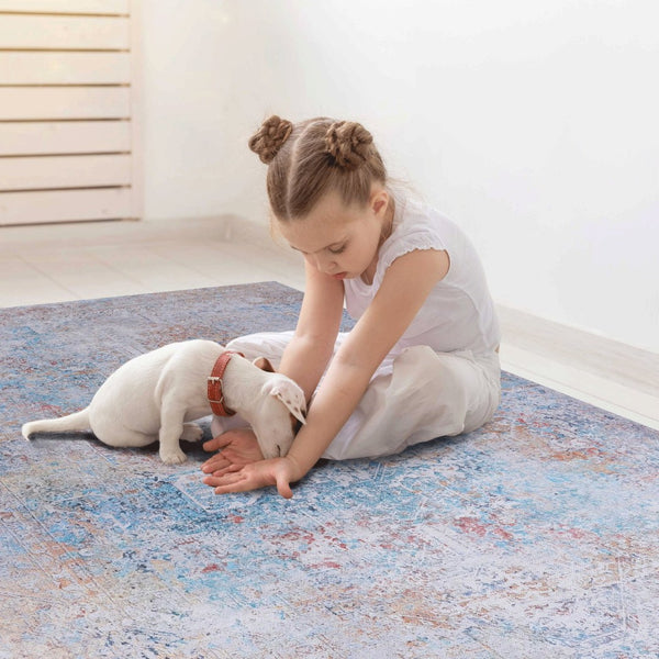 English Elm Maval Chenille Area Rug Machine Washable Bohemian Low Pile for Living Room Floors B189P189036