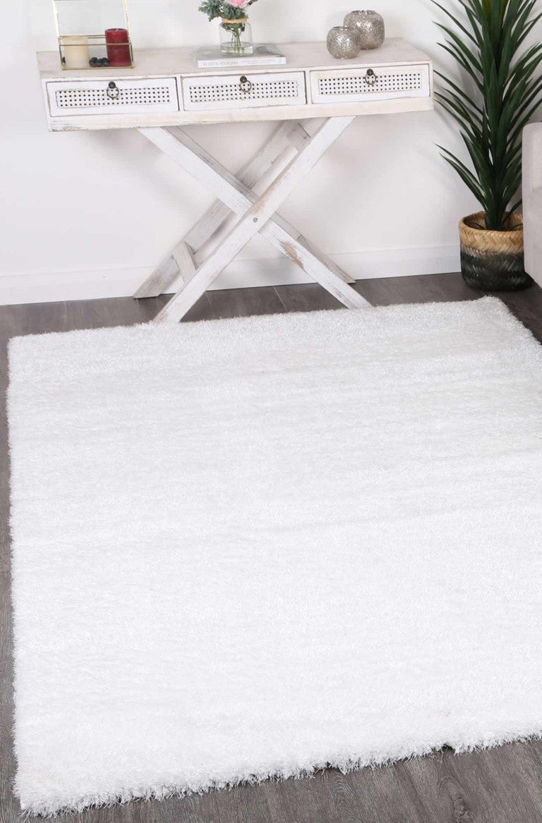 English Elm Zanca High Pile Shag Area Rug Plush Soft Surface for Living Room or Bedroom B189P556238