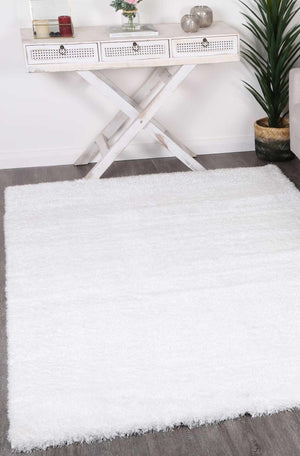 English Elm Zanca High Pile Shag Area Rug Plush Soft Surface for Living Room or Bedroom B189P556238