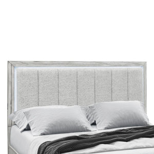 English Elm Eleanor Low Profile Full Bed with Integrated LED Channel Lighting Modern Frame B201S00541