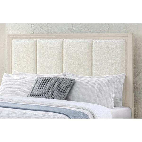 English Elm Melissa Upholstered Full Storage Bed Low Profile Padded Headboard Tapered Legs Beige B201S00561