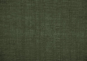 English Elm Accent Chair Mid Century Modern Upholstered Seat with Tapered Walnut Legs for Living Room Green B2710P501855