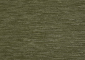 English Elm Accent Chair Mid Century Modern Sage Fabric Walnut Legs Cane Panels Living Room Green B2710P501856