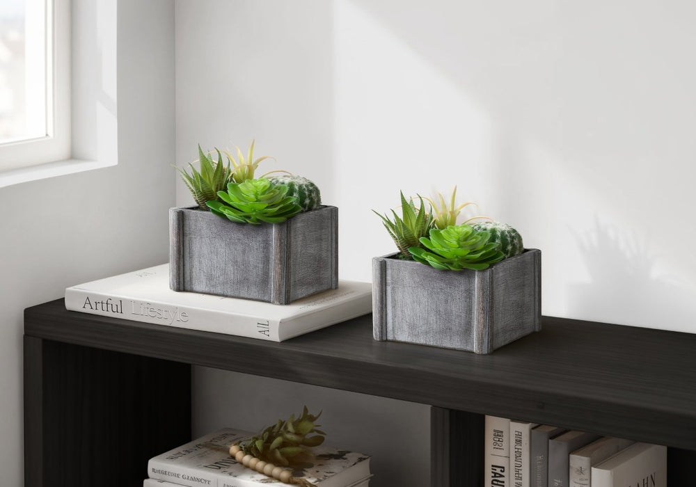 English Elm Artificial Succulent Duo in Grey Wood Pots Minimalist Faux Greenery for Desk or Shelf B2710P501874