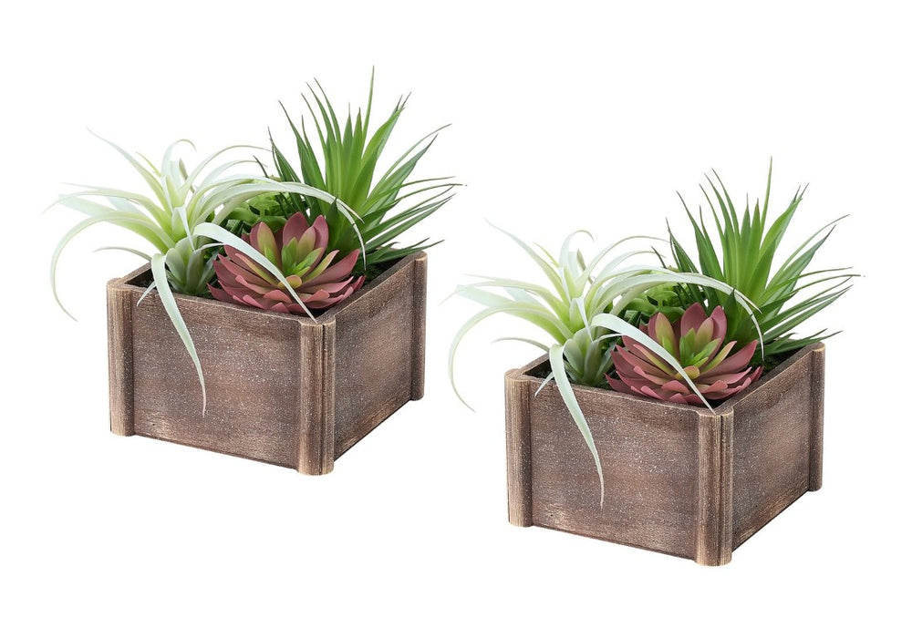 English Elm Artificial Succulent Duo with Wooden Pots Realistic Desert Foliage for Modern Interiors B2710P501875