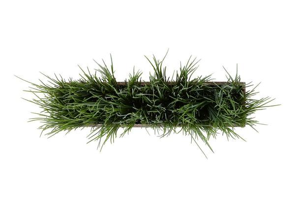 English Elm Artificial Grass Tabletop Plant in Rectangular Wood Pot for Modern Minimalist Spaces B2710P501878