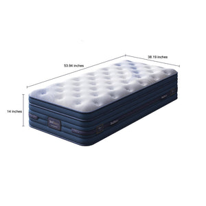 English Elm Bedstory Spine Align Pro Firm Hybrid Twin Mattress with Gel Foam and Airflow Cooling B2716P525530