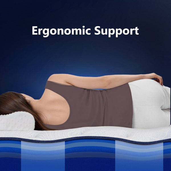 English Elm Bedstory Spine Align Pro Firm Hybrid Twin Mattress with Gel Foam and Airflow Cooling B2716P525530