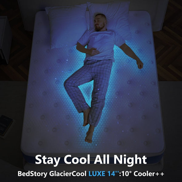 English Elm Bedstory Glacier Cool Pro Plush Hybrid Mattress with Airflow Foam for Hot Sleepers B2716P526135