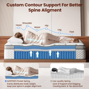 English Elm 10 Inch Twin Hybrid Mattress Zoned Pocket Springs Cooling Euro Top Back Relief B2716P548663