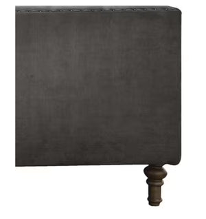 English Elm Sidonia Tufted Velvet Club Chair with Nailhead Trim and Down Feather Seat Cushion B2726P411572