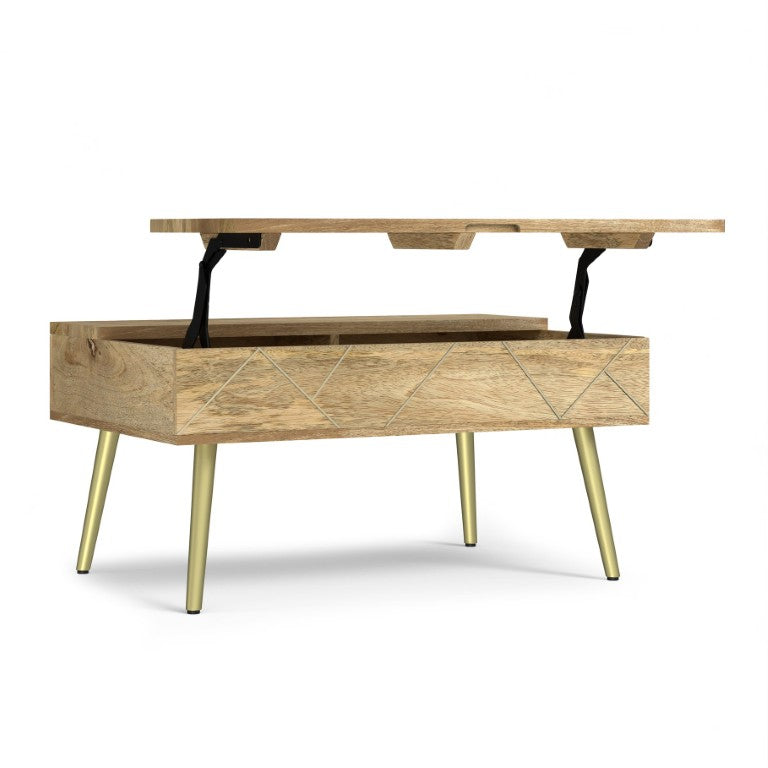 English Elm Spartan Mango Hardwood Lift Top Coffee Table with Brass Inlays and Hidden Storage B2732P549788