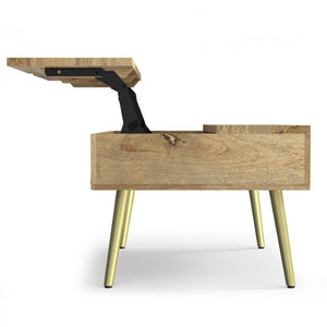 English Elm Spartan Mango Hardwood Lift Top Coffee Table with Brass Inlays and Hidden Storage B2732P549788