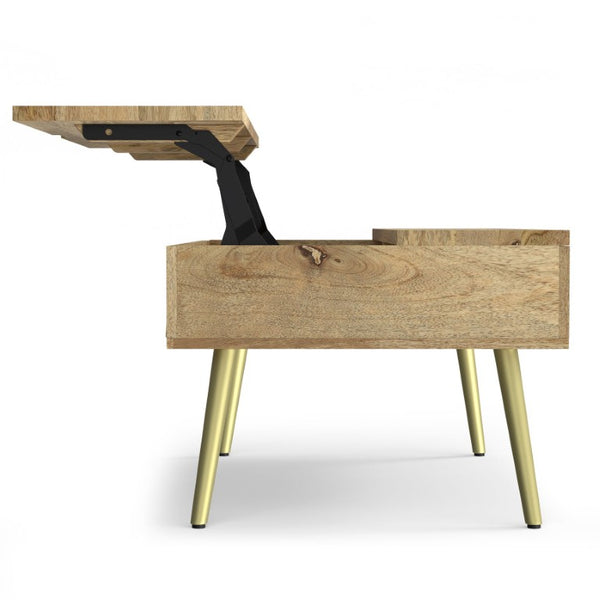 English Elm Spartan Mango Hardwood Lift Top Coffee Table with Brass Inlays and Hidden Storage B2732P549788