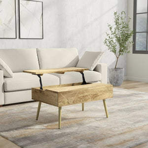 English Elm Spartan Mango Hardwood Lift Top Coffee Table with Brass Inlays and Hidden Storage B2732P549788